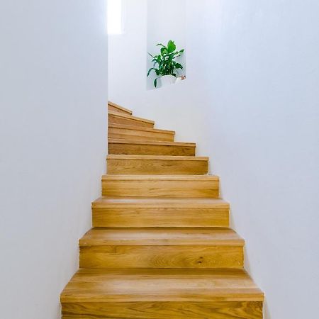 Villa Roma Ντουμπρόβνικ Εξωτερικό φωτογραφία